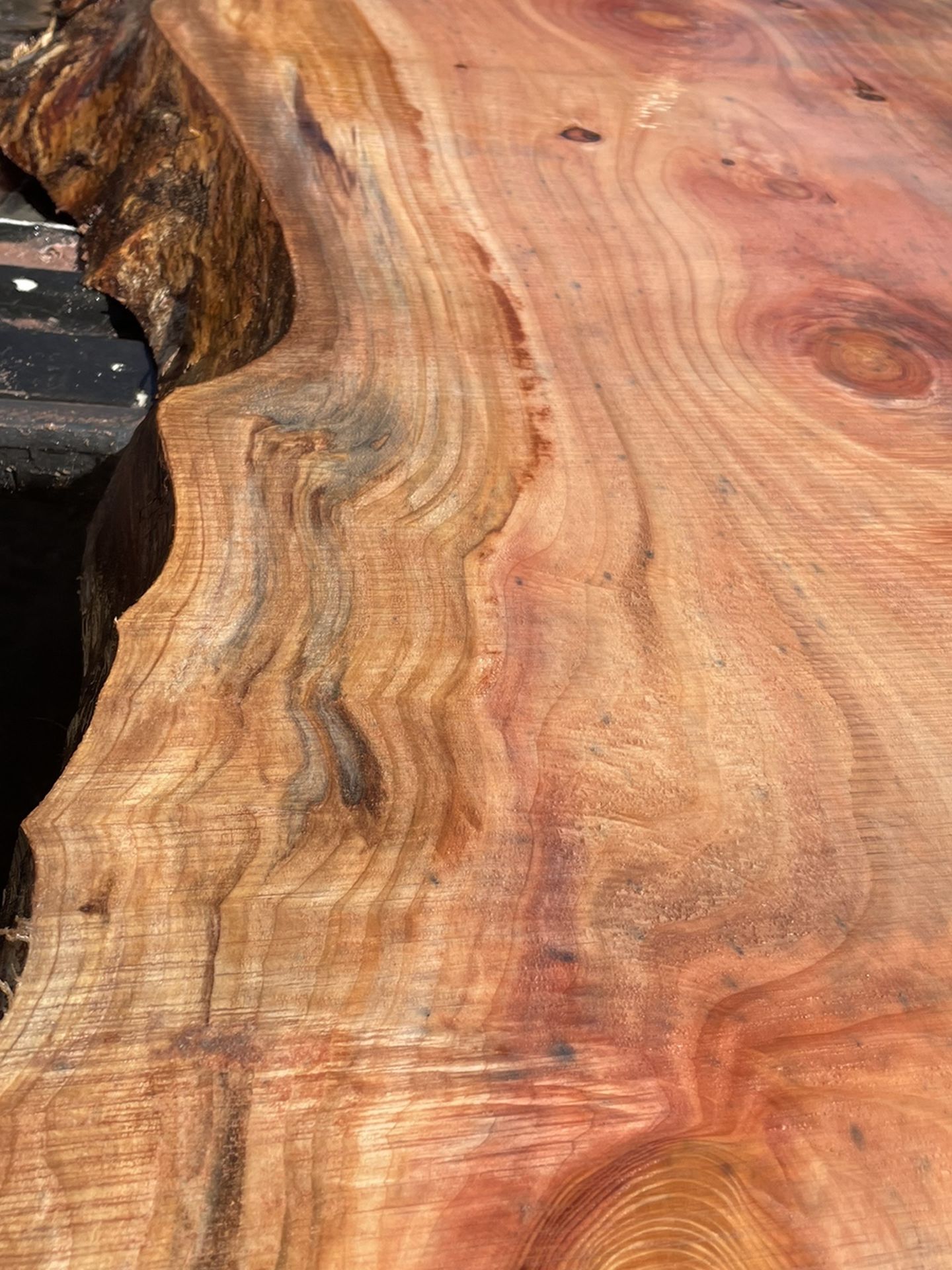 Gorgeous Redwood Live Edge Slabs