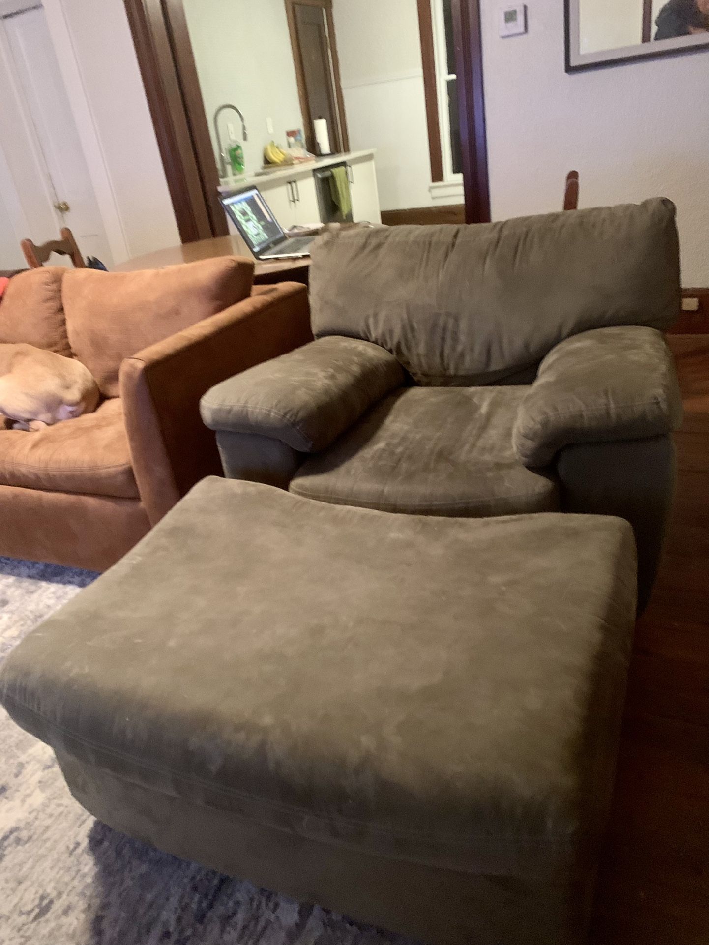 Living Room Chair And Ottoman  (Gray)