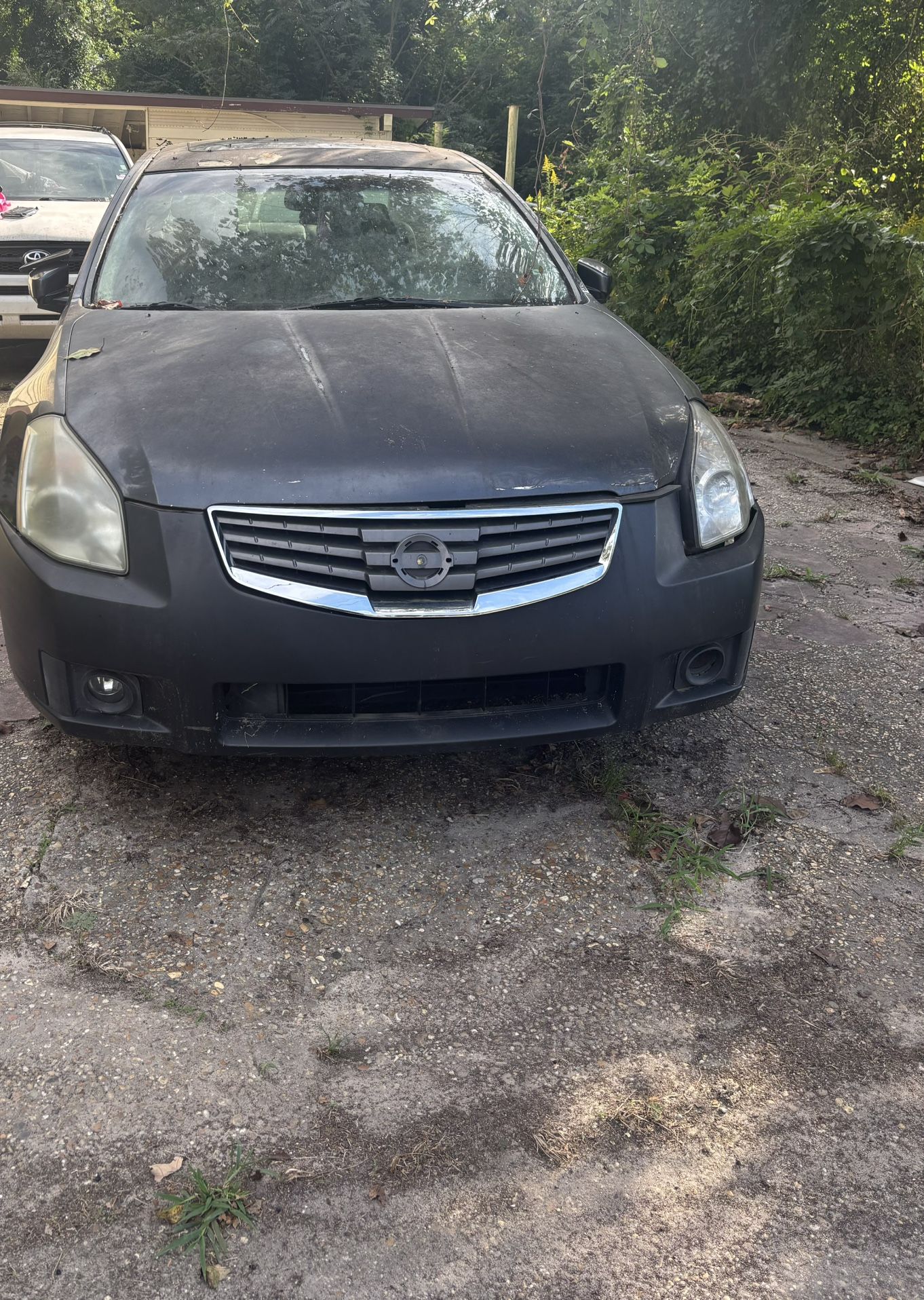 2007 Nissan Maxima