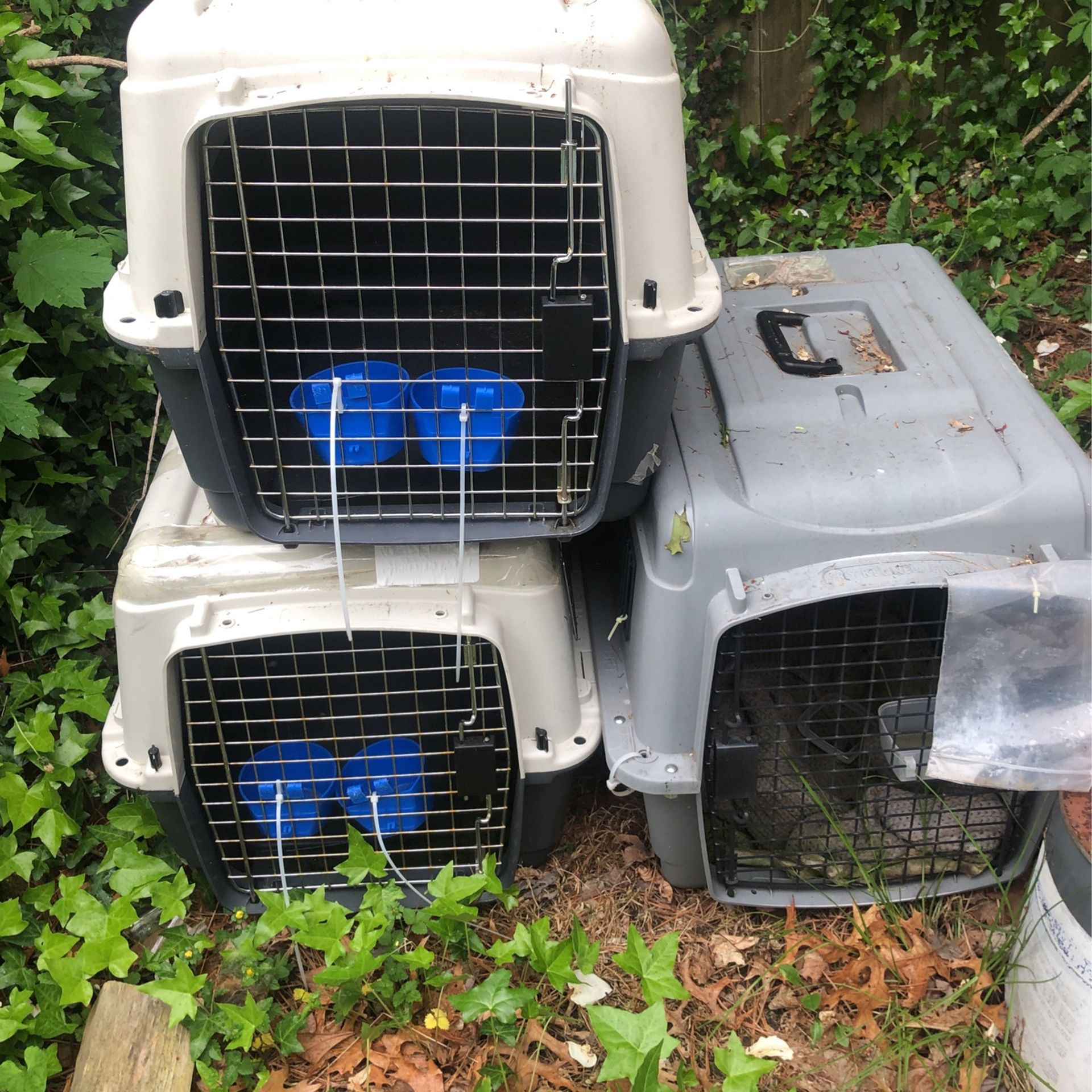 Large Travel Cage For Dogs 