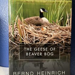 The Geese of Beaver Bog Hardcover – Deckle Edge, May 11 2004