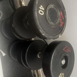 40lb Gp Rubber Urethane Commercial Grade Dumbbell Home Gym