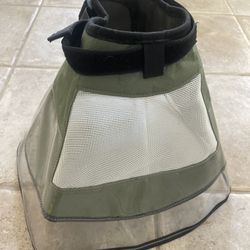 Soft Dog cone collar