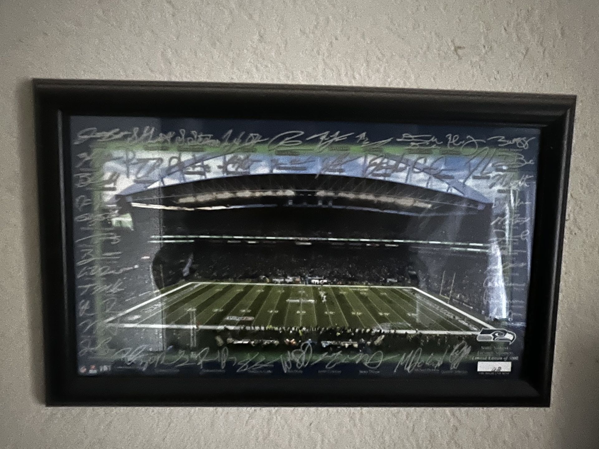 Seahawks Room Decor