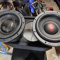 Digital Designs 10" Subwoofer