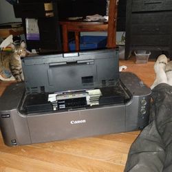 Canon Pixma Pro 100 That Does Not Have Ink For It