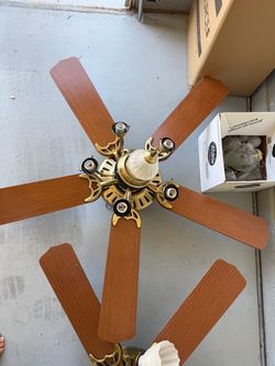 Indoor Ceiling Fans