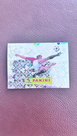 Panini