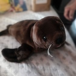 Unipak Cute Sea lion plush