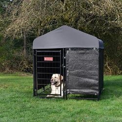 Lucky Dog Stay Series Jr Studio Kennel