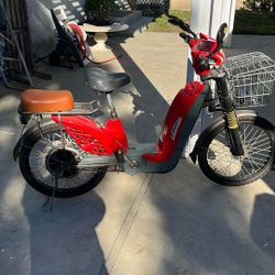 Electric Bike 