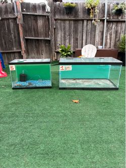 Fish tank