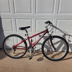 Specialized Expedition Elite Mountain Bike