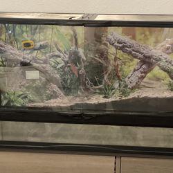 40 Gallon Reptile Habitat