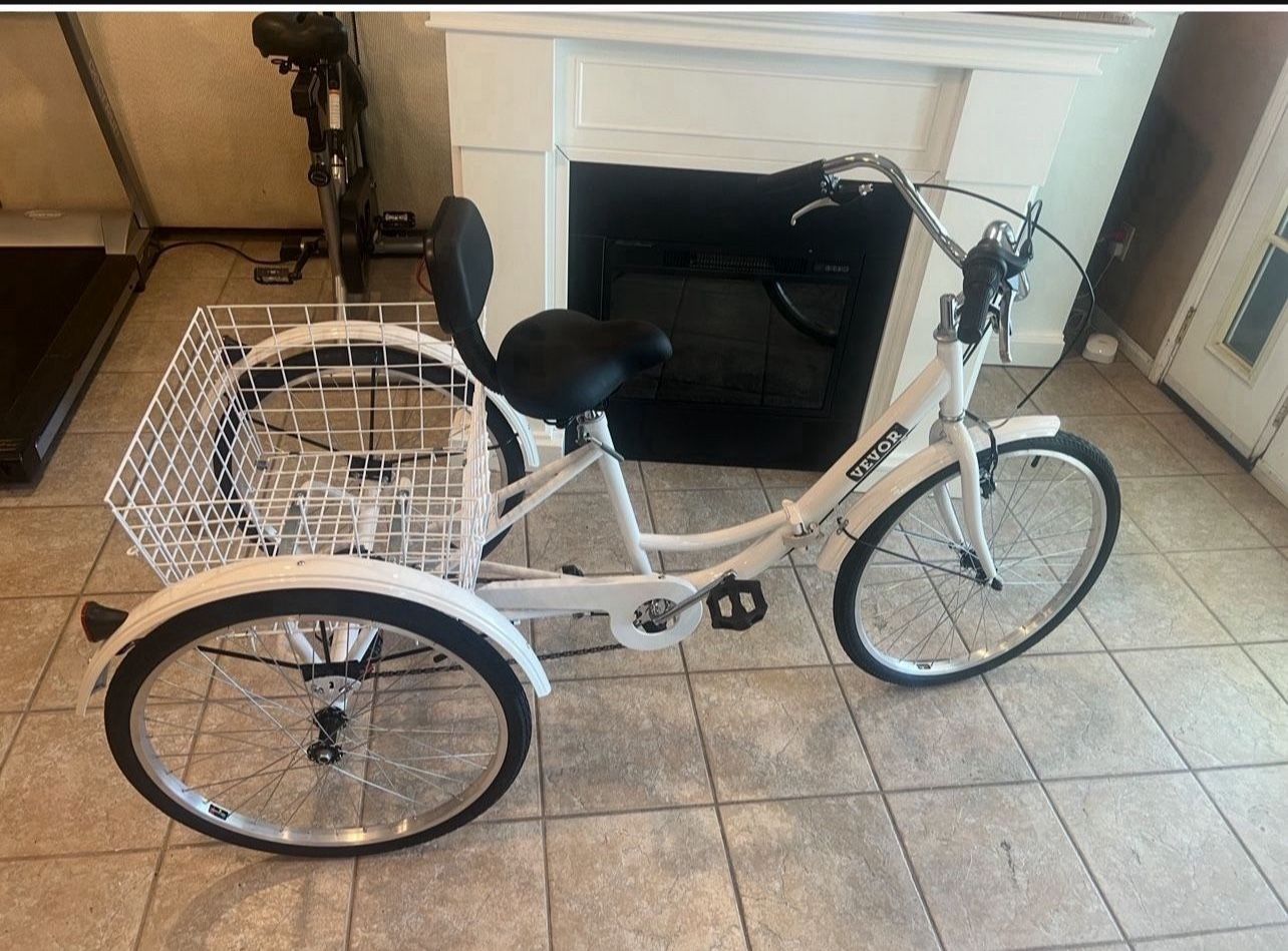 Adult tricycle