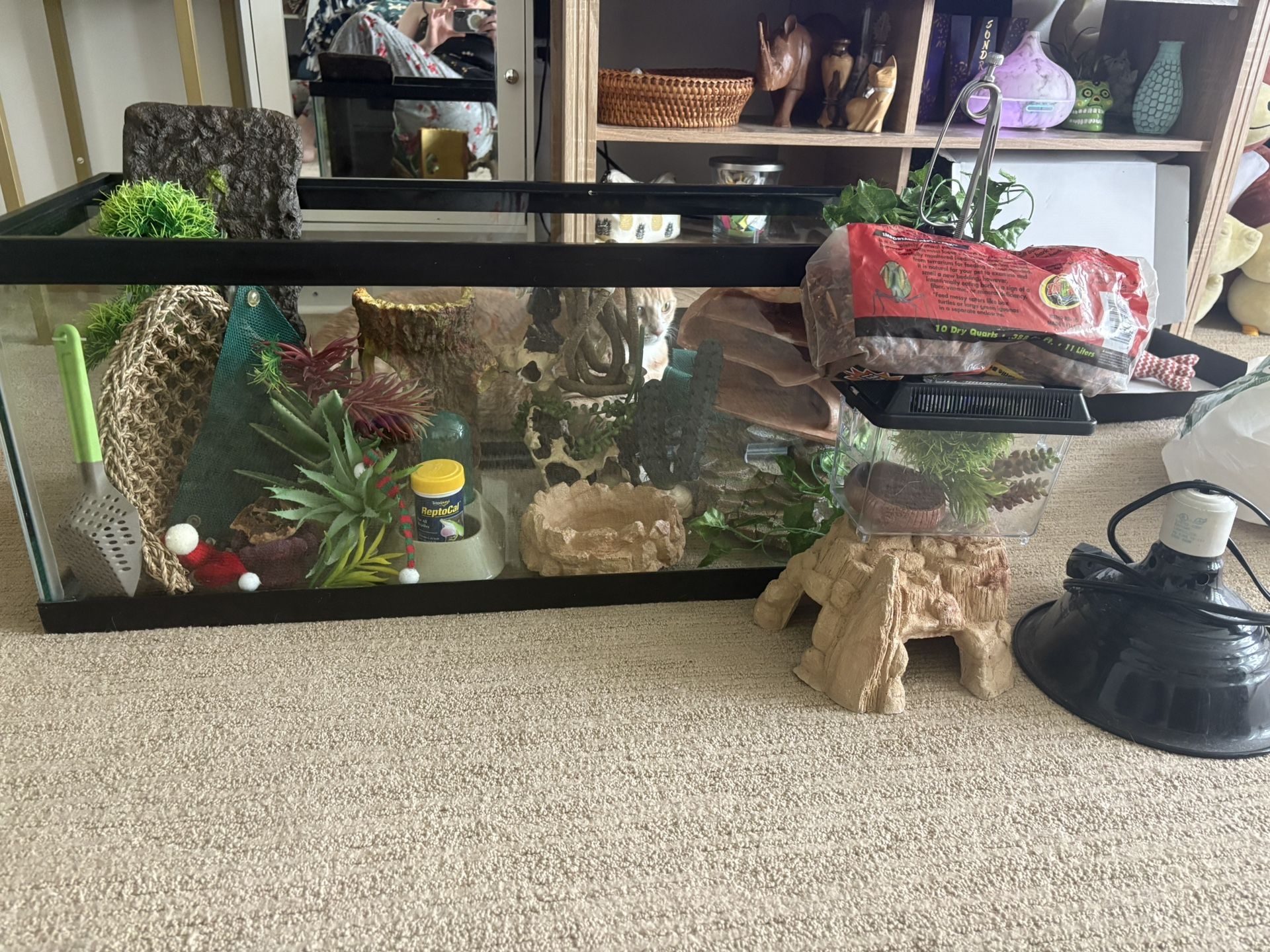 Terrarium & Supplies