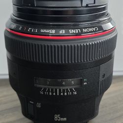 Canon EF 85mm f 1.2L II with Hoya HD UV FIlter