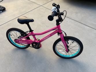 Guardian Kids  16 Inch Bike Pink Aqua