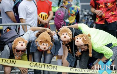Two plush monkey hats