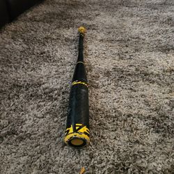 Easton Hype Comp Bat
