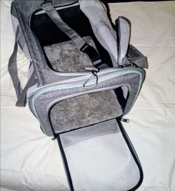 Kittens soft-sided pet carrier