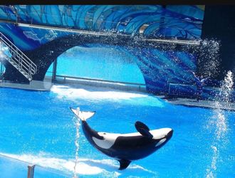 Seaworld & Aquatica