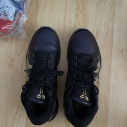 kobe 5 year of the mamba