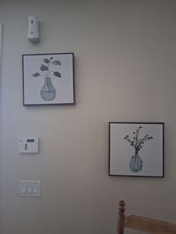 Pictures