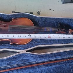 Violin
