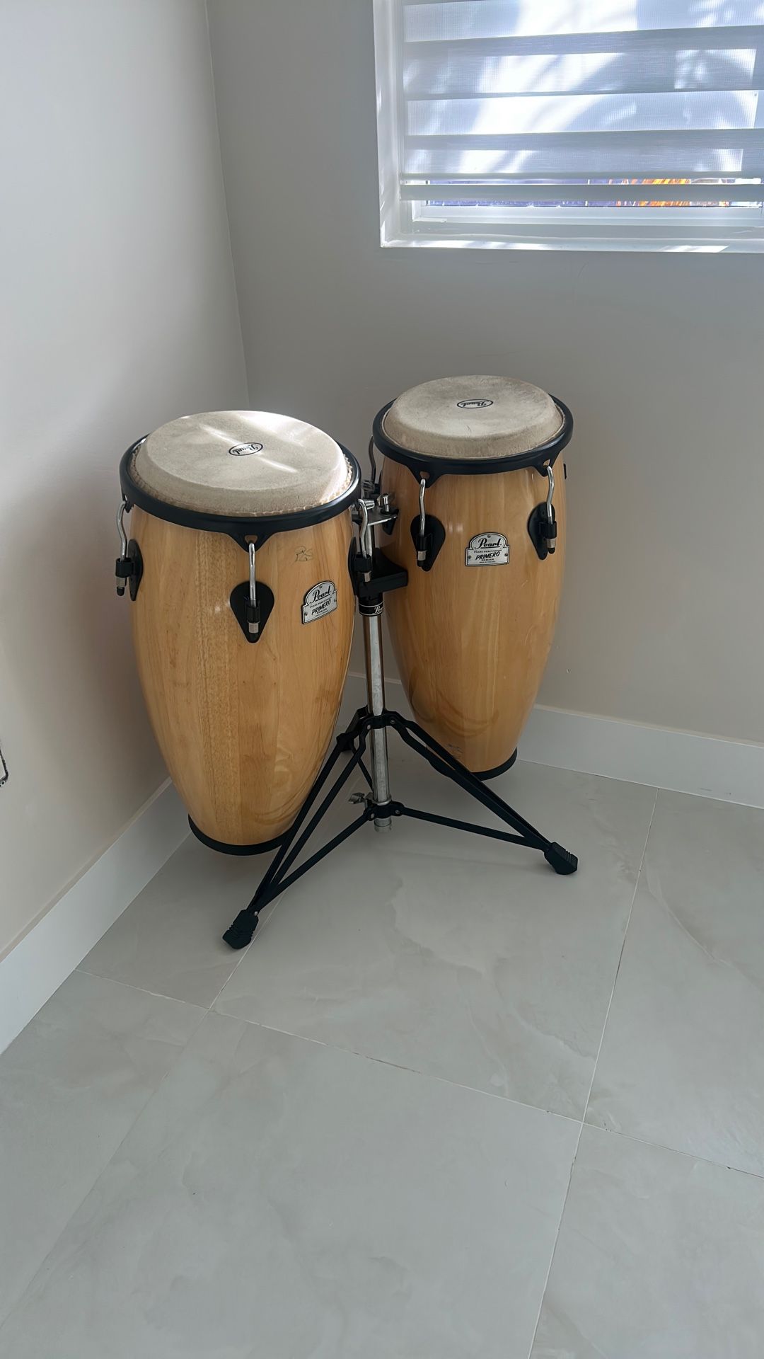 Pearl Conga