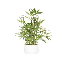 Tall White Potted Faux Bamboo Plant 
