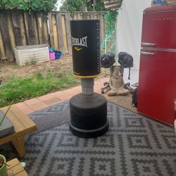 Punching Bag $20