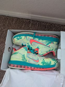 Nike LeBron IX Low