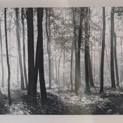 Large Black & White Forest Canvas Wall Art