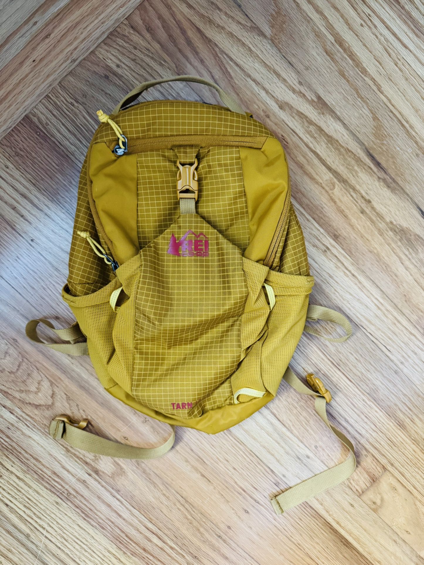 REI Tarn 12 Kids Backpack - $20