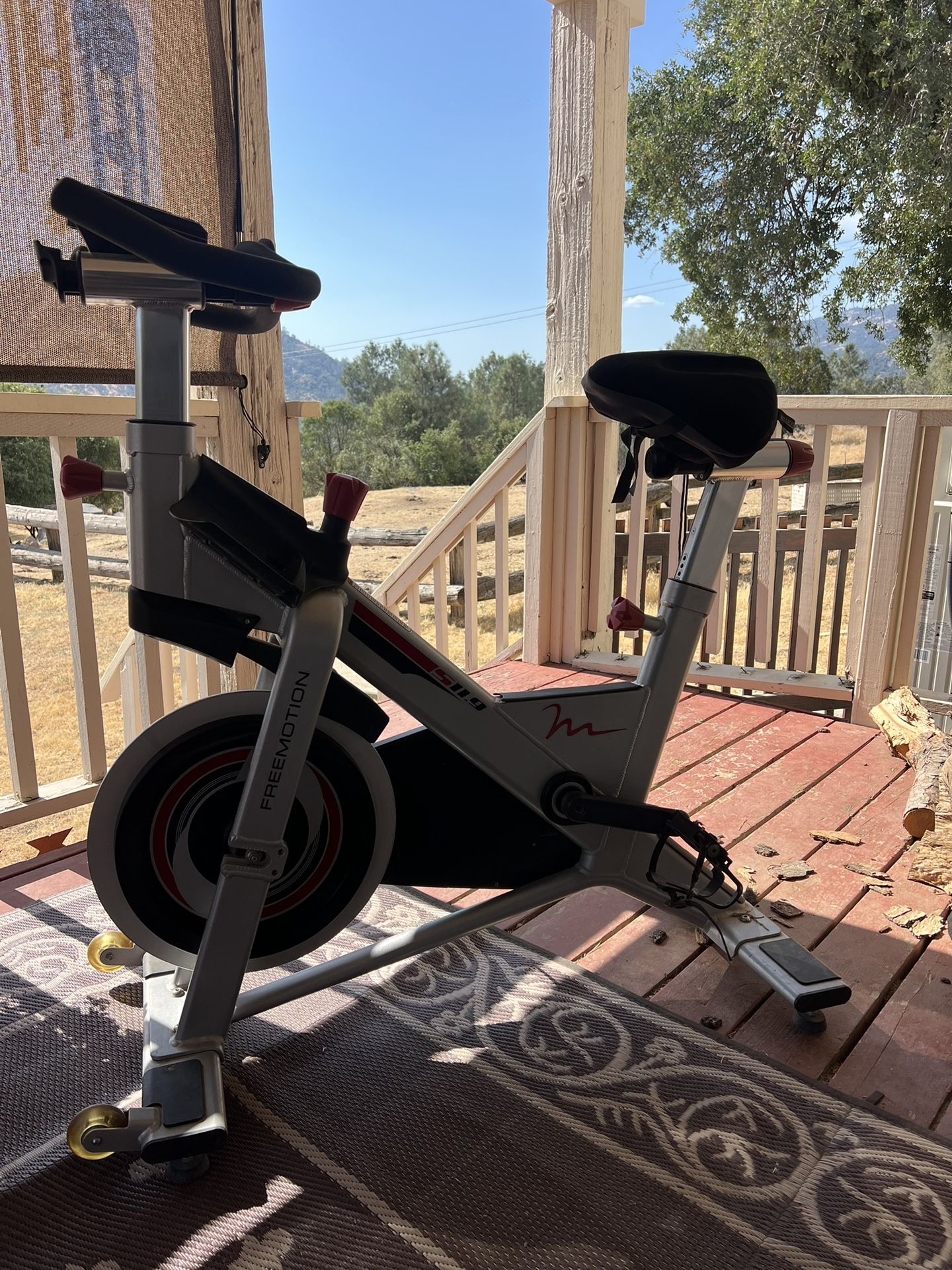 FREEMOTION FITNESS S11.9 Indoor Exercise Cycle with console