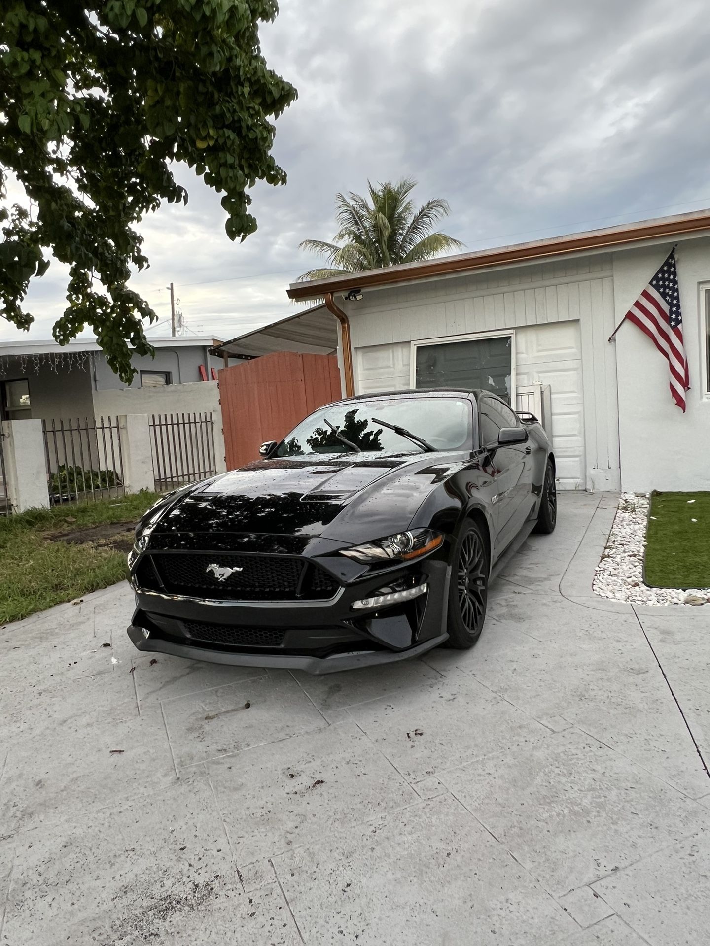 Mustang PP1 Rims BRAND NEW