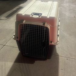 Essentials Dog Crate 