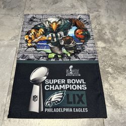 PHILADELPHIA Eagles Swoop Attack Sb 2 Sided 11.5 X 17.5 GARDEN FLAG / YARD Flag