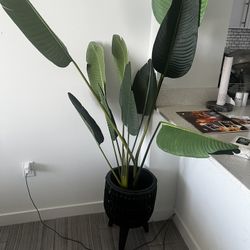 2 Birds Of Paradise Plants -Artificial 