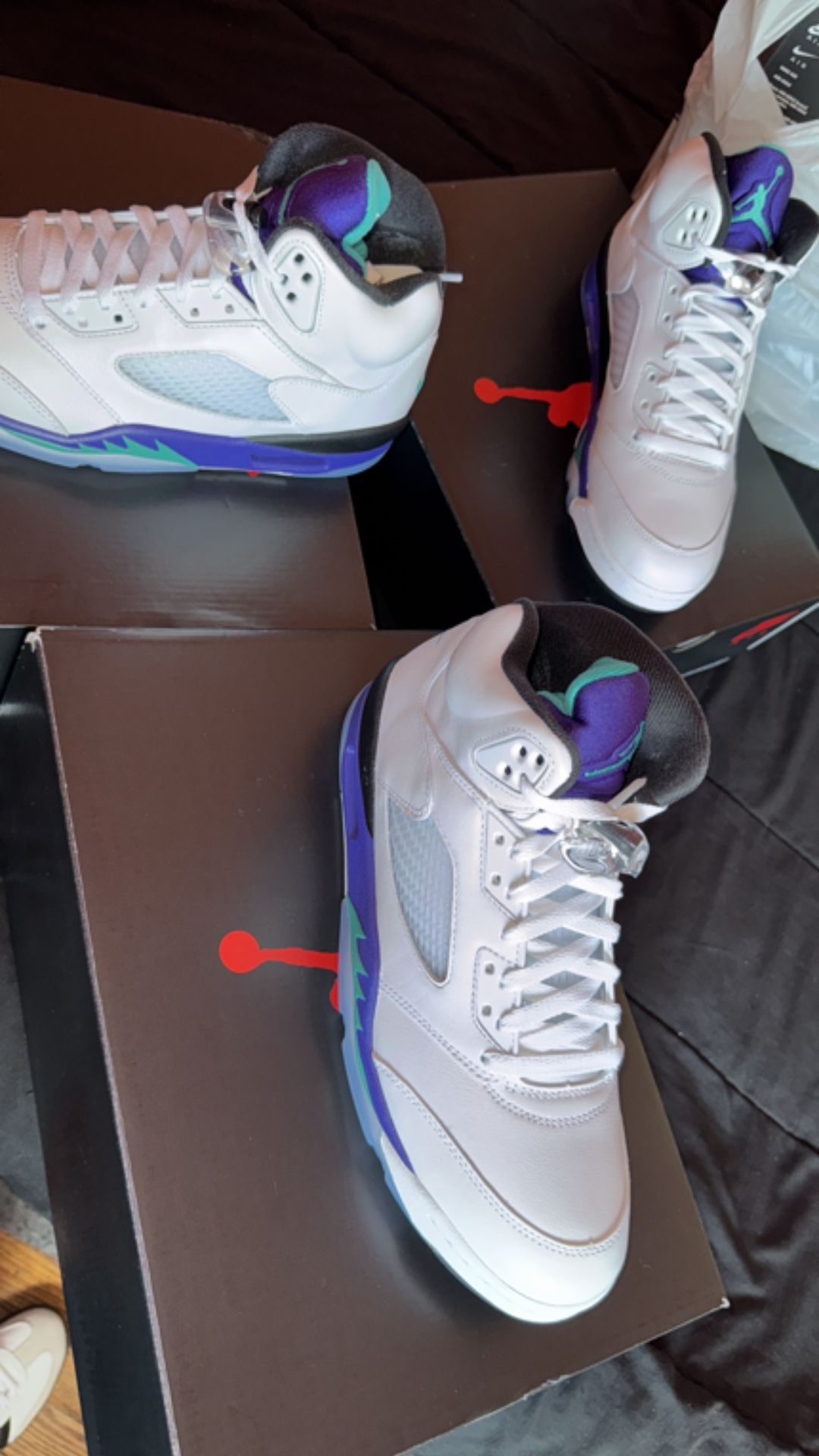 Jordan Grape 5s