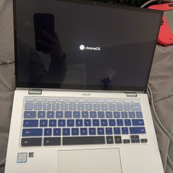 ChromeOS (chromebook)