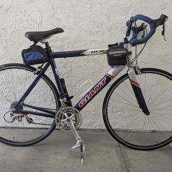 Giant Ocr Aluminum Road Bike 22 Frame 