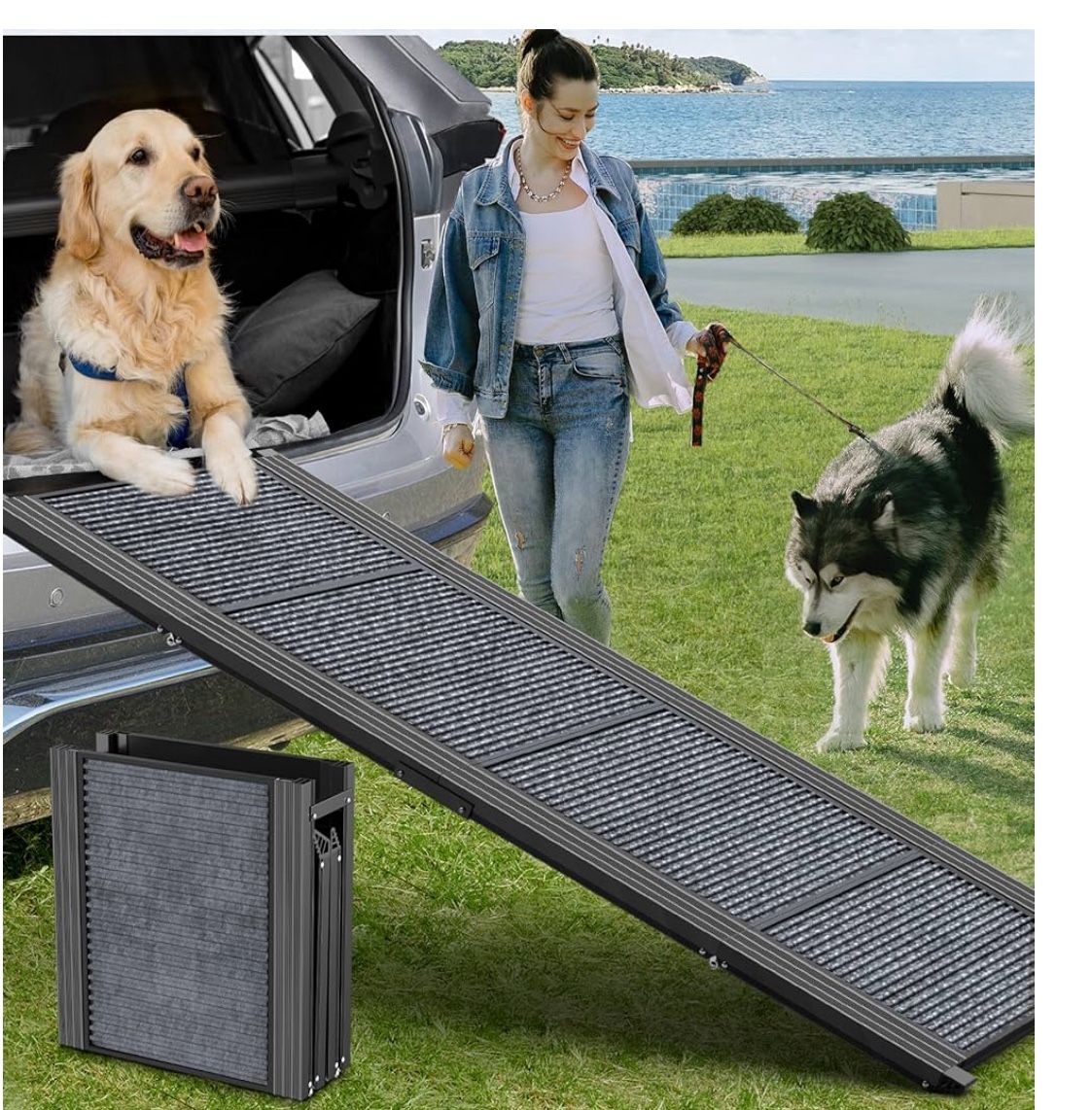 Dog Ramp- Car