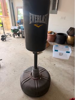 Everlast punching bag