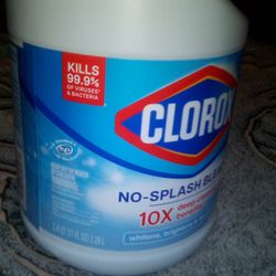 CLOROX PRODUCTS