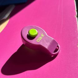 Click-R Dog Training 