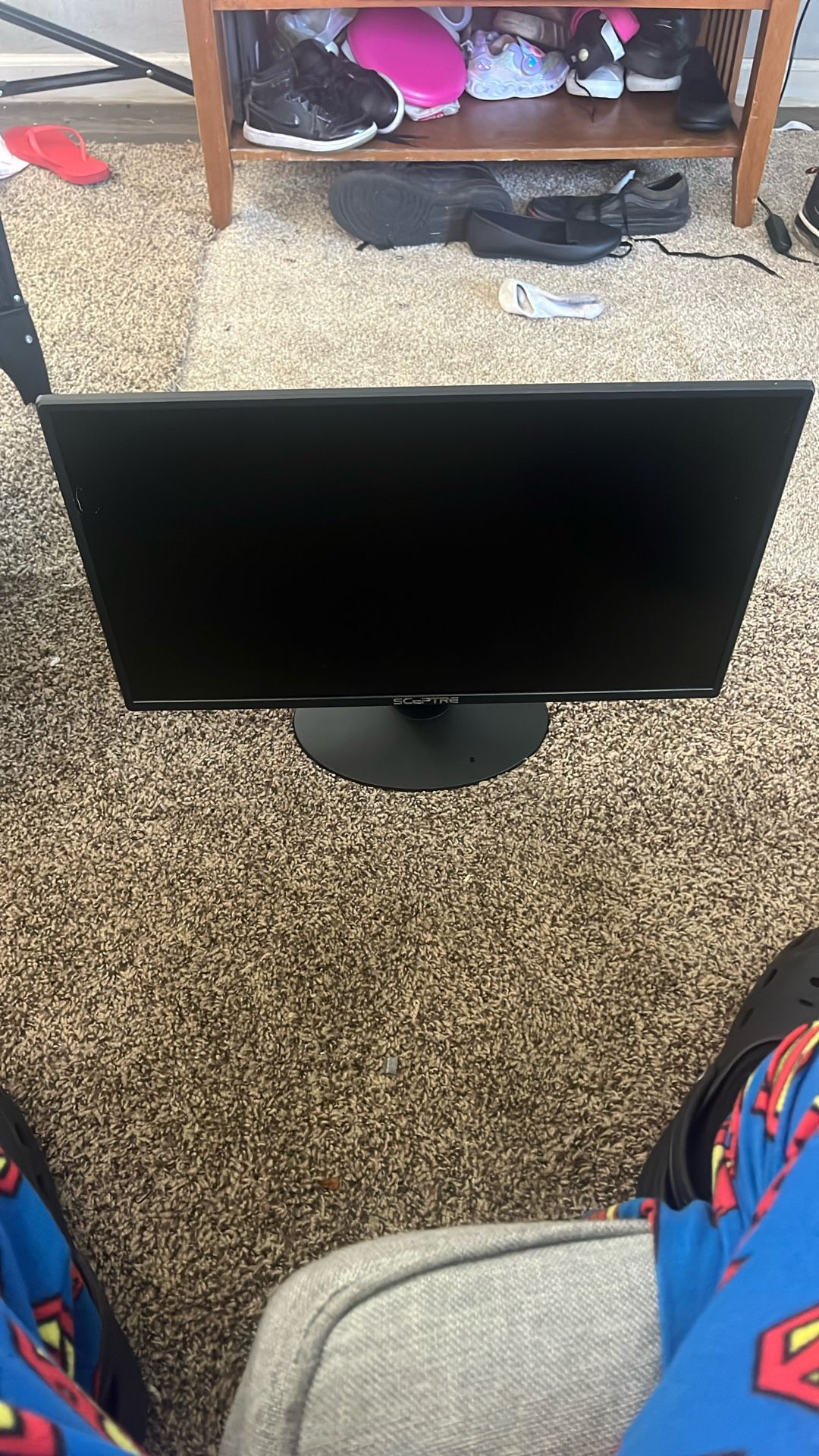 Sceptre 24" 1080p 75Hz LED Monitor