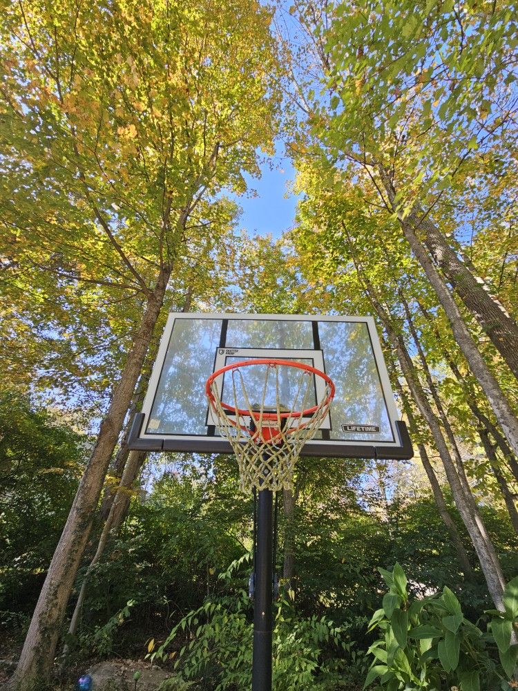 Basketball Hoop Lifetime Elite 52"