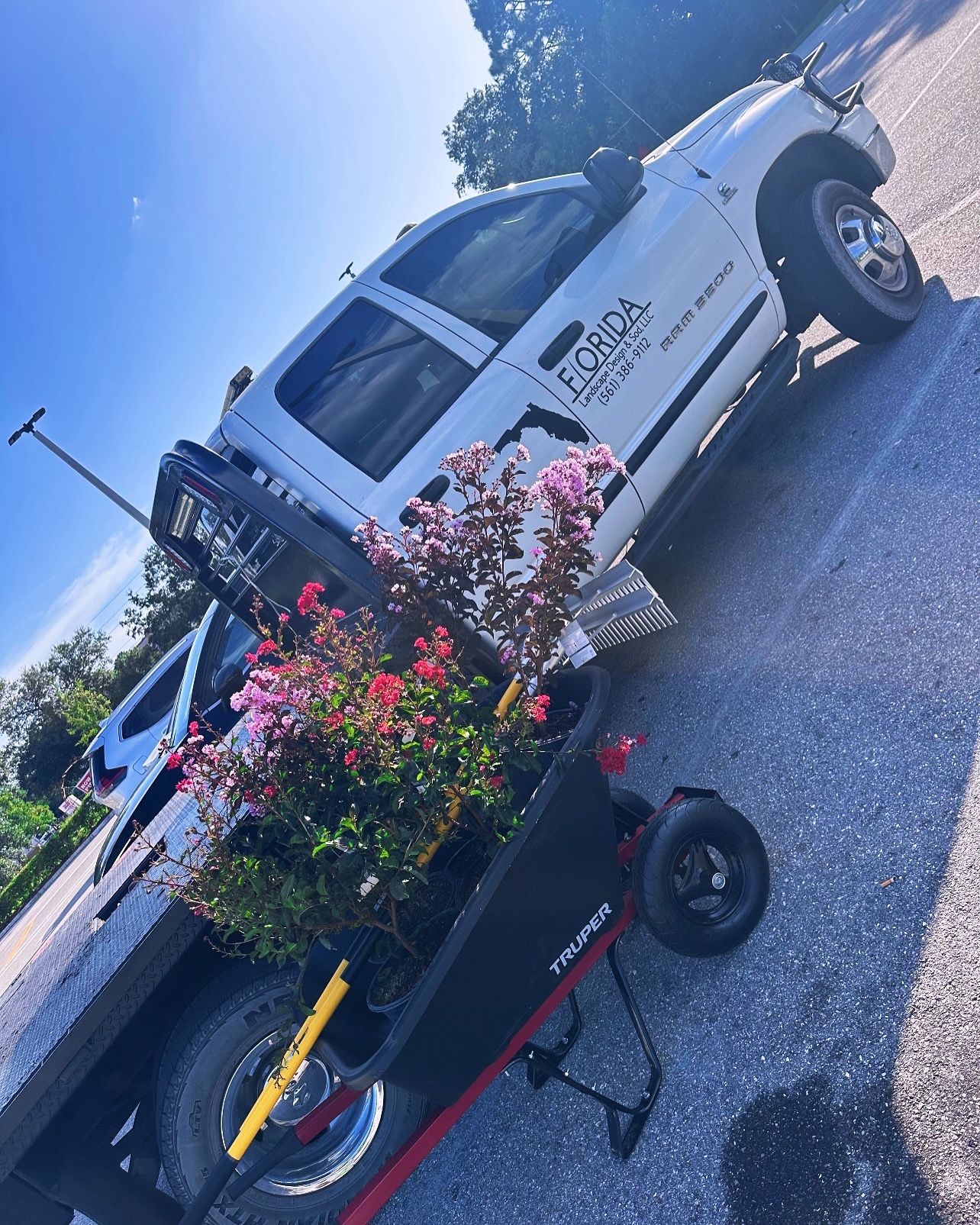 Sod Supplier